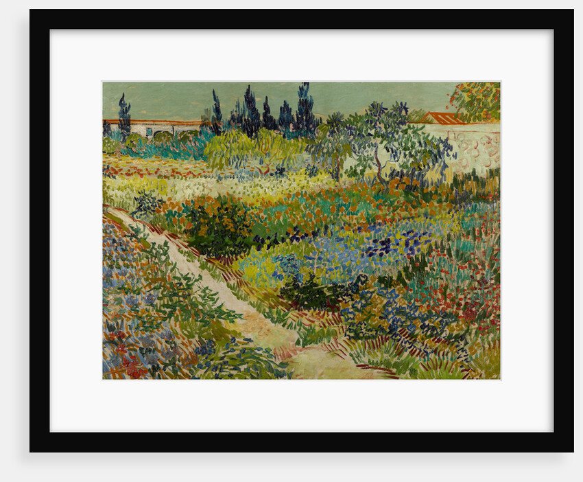 Garden at Arles, 1888 by Vincent van Gogh