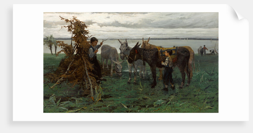 Boys herding donkeys, 1865 by Willem Maris