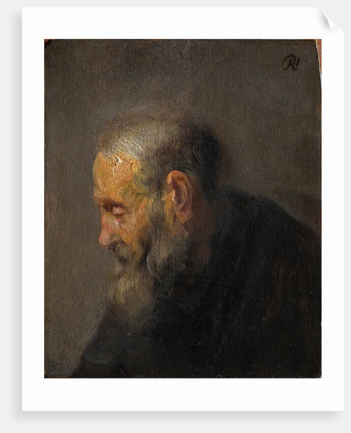 Study of an Old Man in Profile, c.1630 by Rembrandt van Rhijn