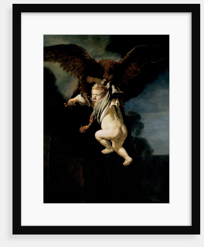 The Abduction of Ganymede, 1635 by Rembrandt van Rhijn