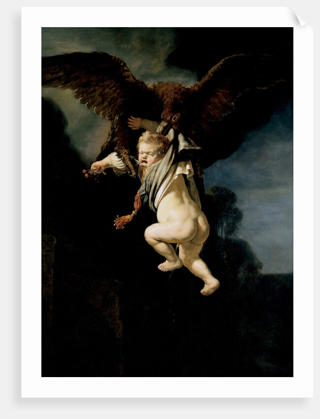 The Abduction of Ganymede, 1635 by Rembrandt van Rhijn