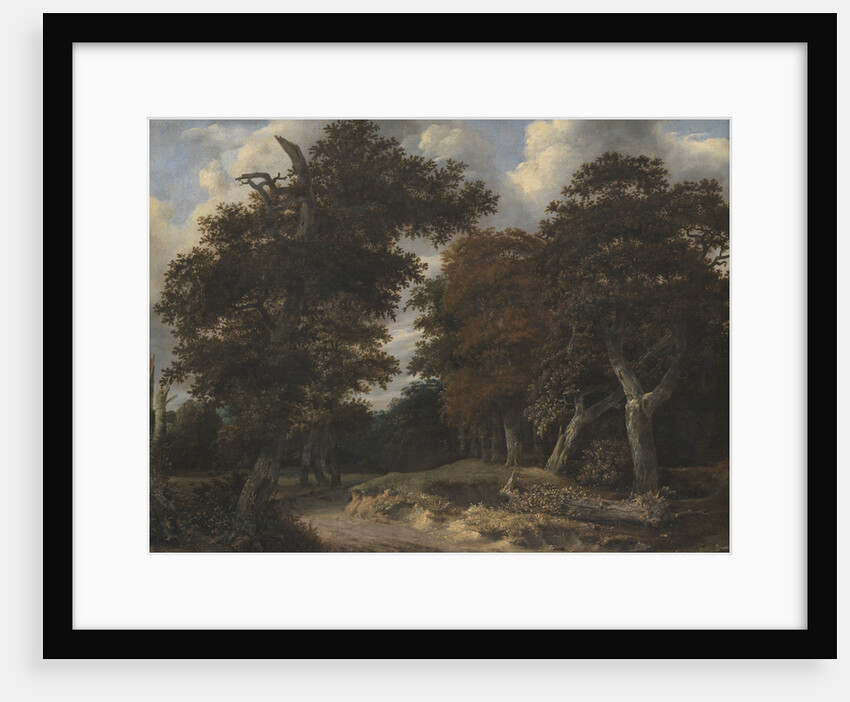 Road through an Oak Forest, 1646-1647 by Jacob Isaacksz van Ruisdael