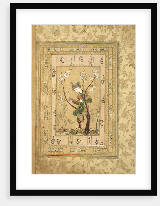 Youth Seated in the Fork of a Blossoming Tree, 1560s by Iranian master