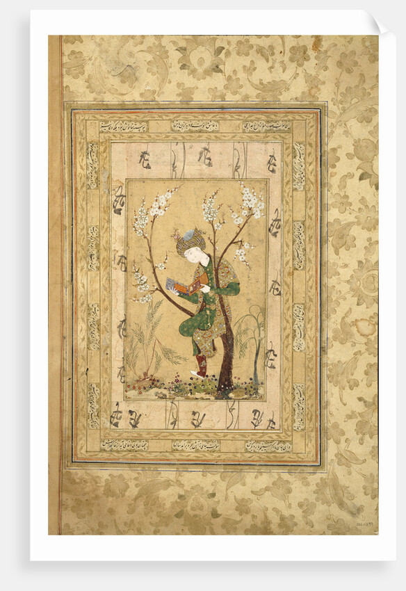 Youth Seated in the Fork of a Blossoming Tree, 1560s by Iranian master