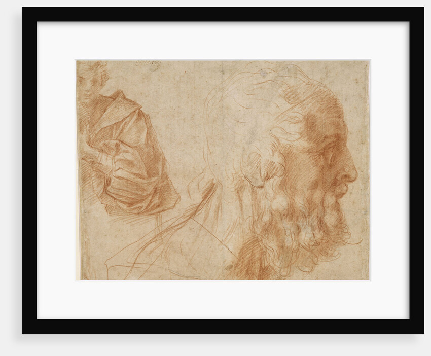 A youth and the head of an old man (Homer?). Study, ca 1521 by Andrea del Sarto