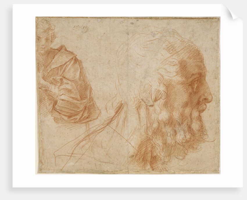 A youth and the head of an old man (Homer?). Study, ca 1521 by Andrea del Sarto