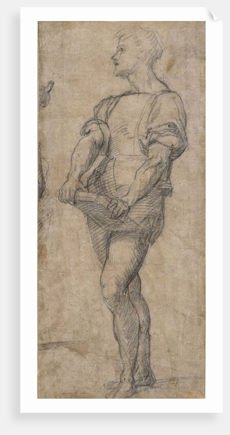 Standing youth holding a book, ca 1515 by Andrea del Sarto