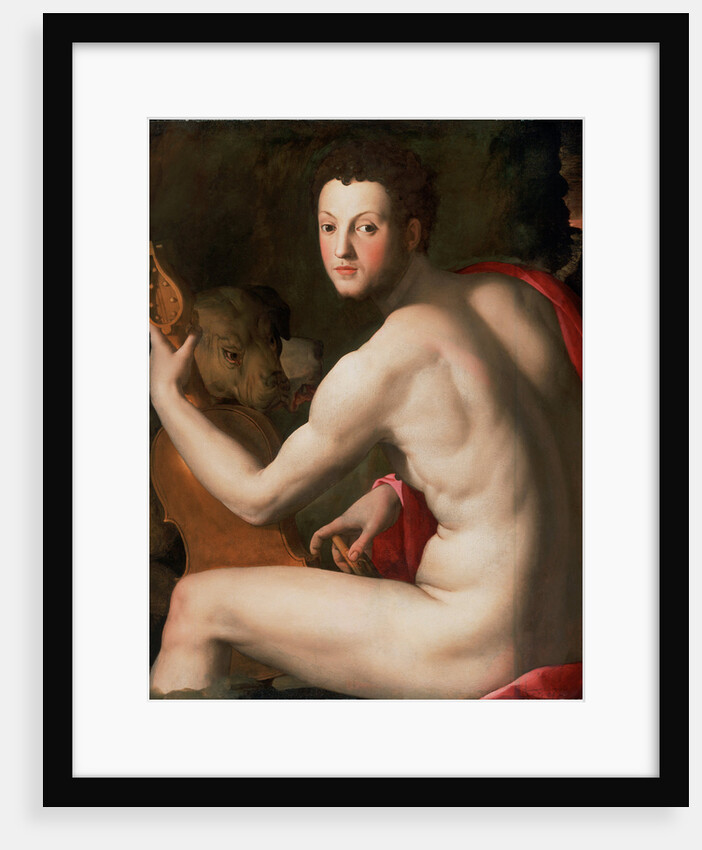 Portrait of Grand Duke of Tuscany Cosimo I de Medici as Orpheus, ca 1537 by Agnolo Bronzino