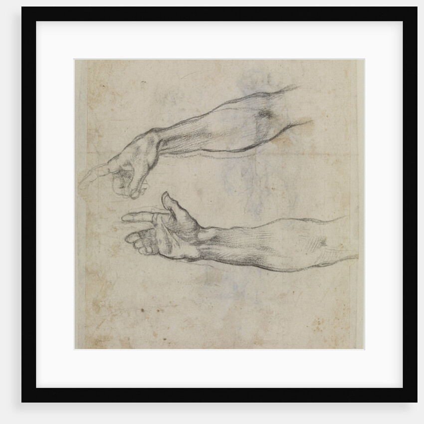 Studies of an outstretched arm for the fresco The Drunkenness of Noah, c.1508 by Michelangelo Buonarroti