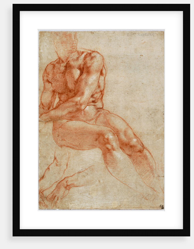 Seated Young Male Nude and Two Arm Studies by Michelangelo Buonarroti