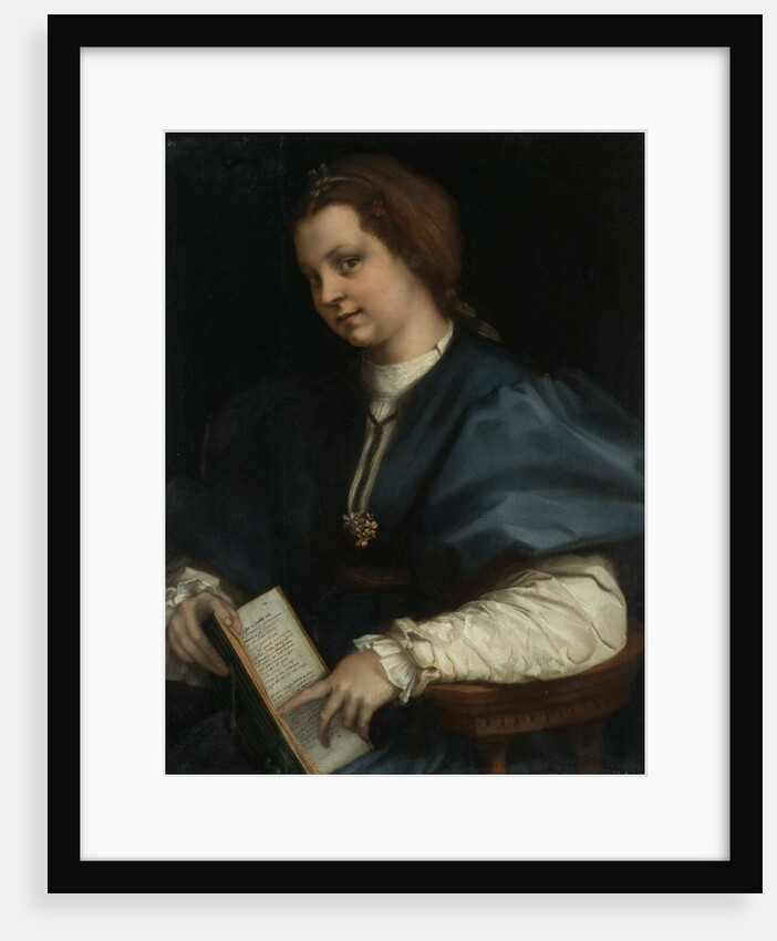 Lady with a book of Petrarchs rhyme, 1528 by Andrea del Sarto
