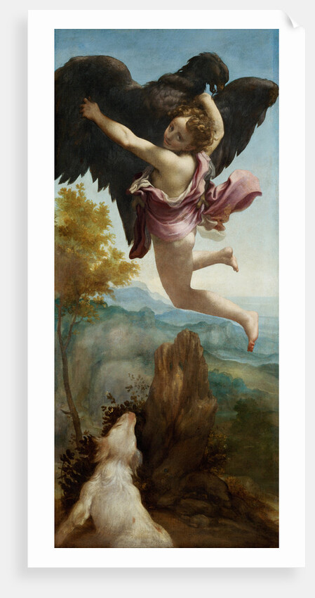 The Rape of Ganymede, 1520-1540 by Correggio