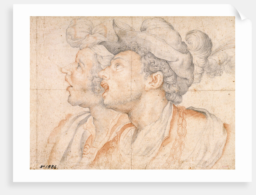 Two Youths Heads, ca 1590 by Camillo Procaccini