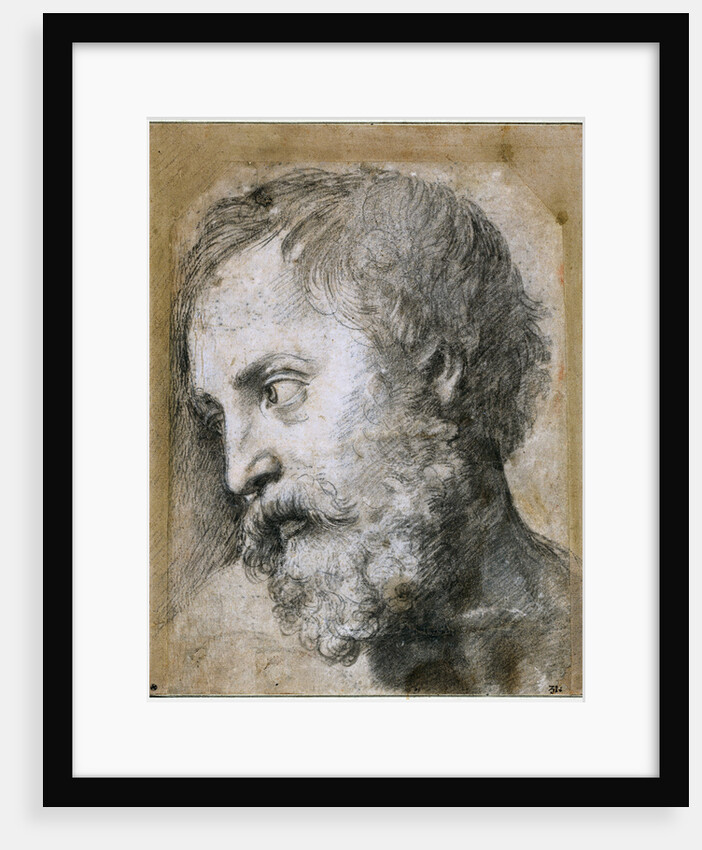 Head of An Apostle (Study for Transfiguration) by Raphael
