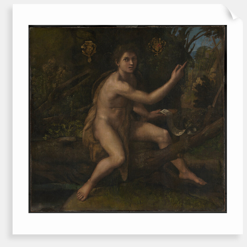Saint John the Baptist, 1519 by Raphael