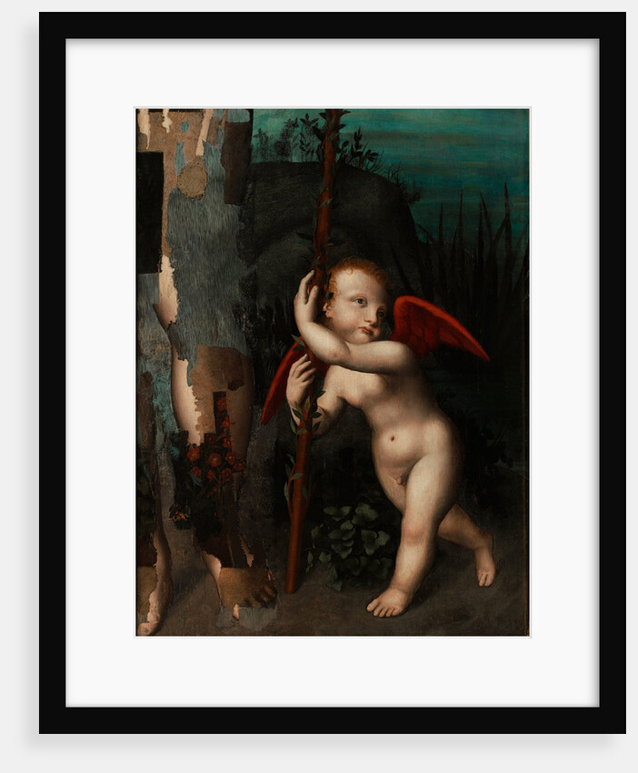 Cupid with a myrtle, before 1593 by Aurelio Luini