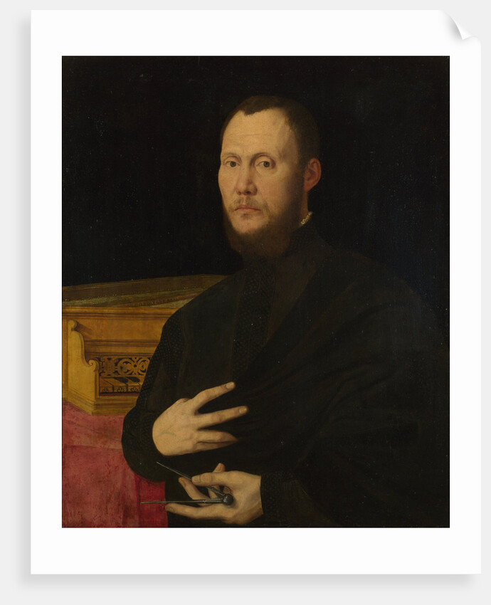 Portrait of a Musician, c. 1565 by Bernardino Campi