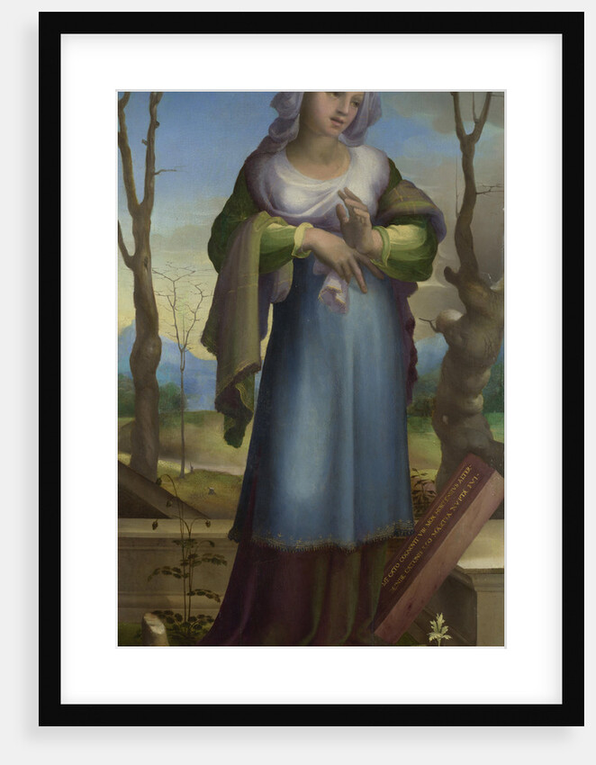 Marcia, c. 1519 by Domenico Beccafumi