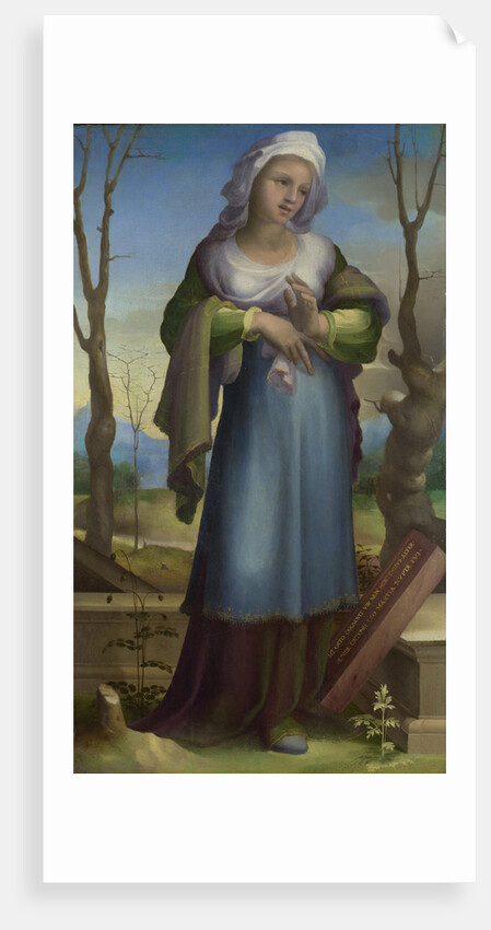 Marcia, c. 1519 by Domenico Beccafumi