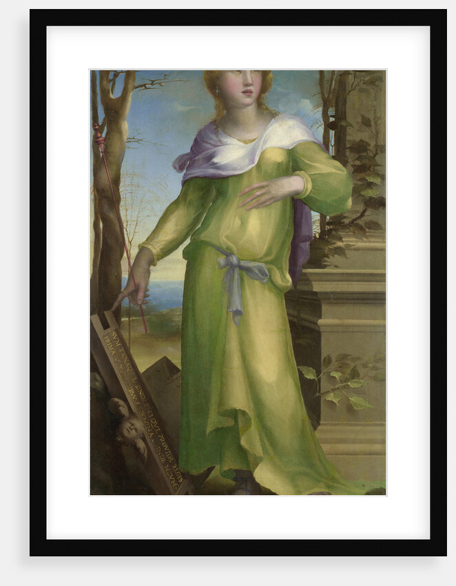 Tanaquil, c. 1519 by Domenico Beccafumi