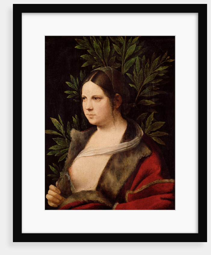 Young Woman (Laura), 1506 by Giorgione