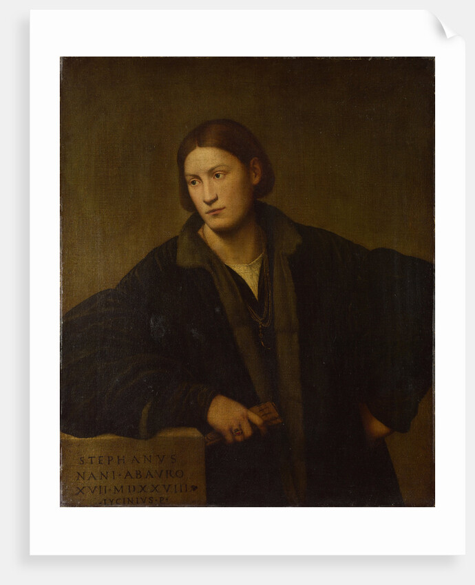 Portrait of Stefano Nani, 1528 by Bernardino Licinio