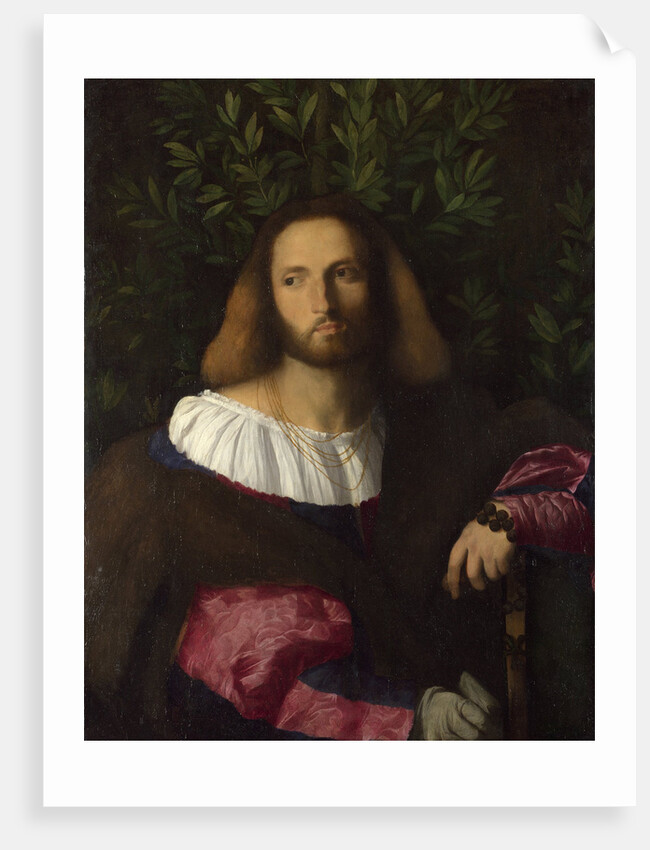 Portrait of a Poet (Ludovico Ariosto), c. 1516 by Jacopo Palma il Vecchio the Elder