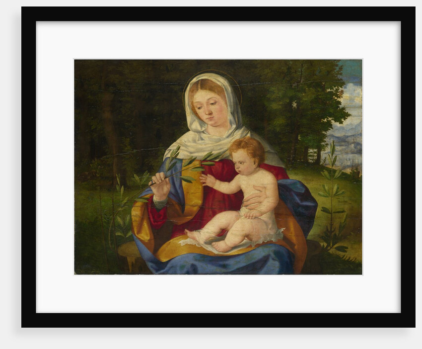 The Virgin and Child with a Shoot of Olive, ca 1515 by Andrea Previtali
