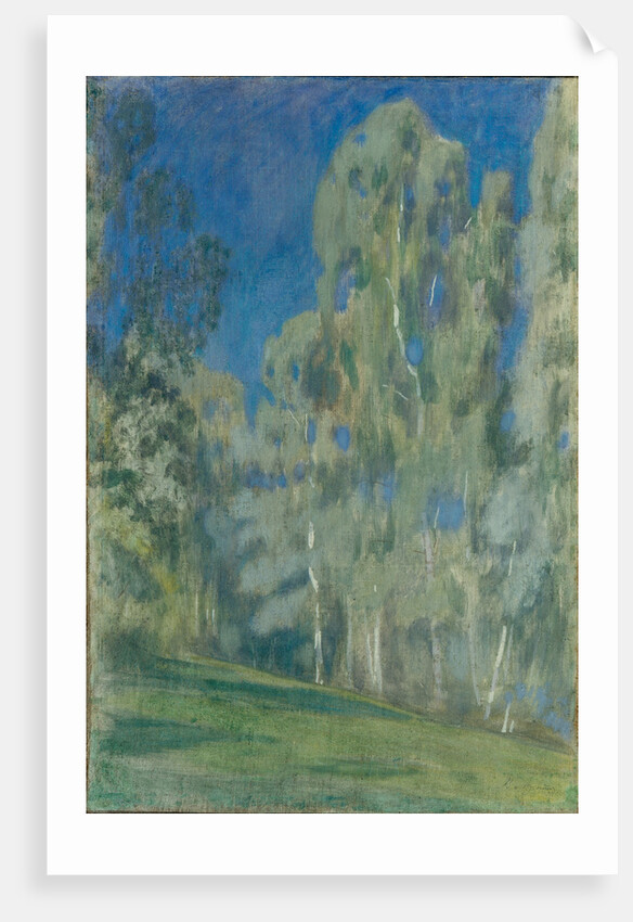 Birches at Midday, 1903 by Viktor Elpidiforovich Borisov-Musatov