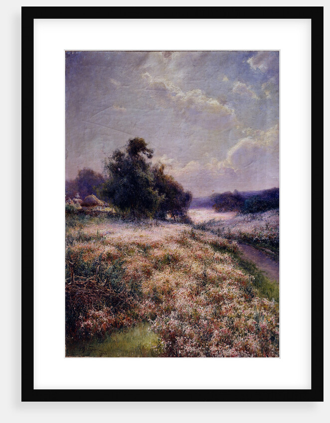 Blooming Meadow, 1906 by Mikhail Andreyevich Berkos