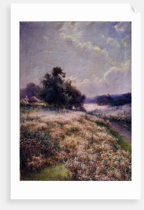 Blooming Meadow, 1906 by Mikhail Andreyevich Berkos