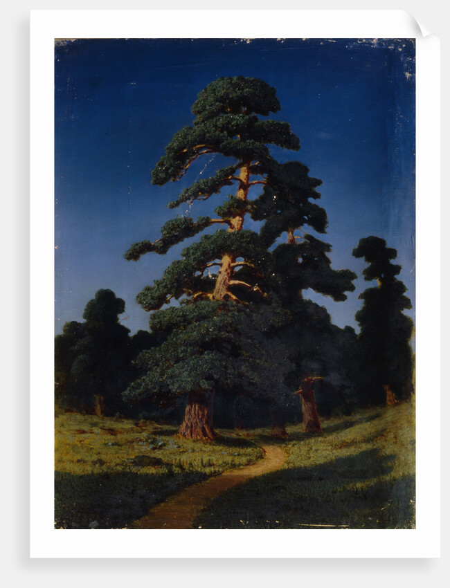 Pine Tree by Arkhip Ivanovich Kuindzhi