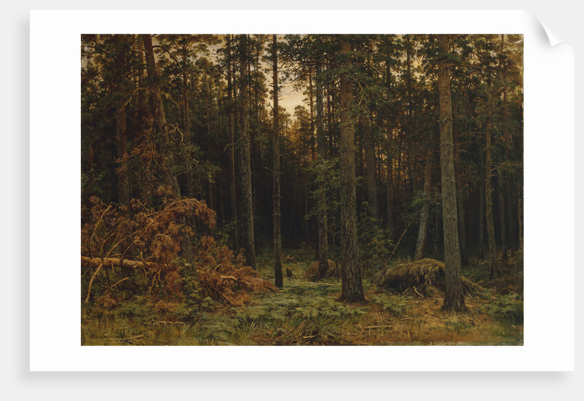 Pinewood, 1885 by Ivan Ivanovich Shishkin
