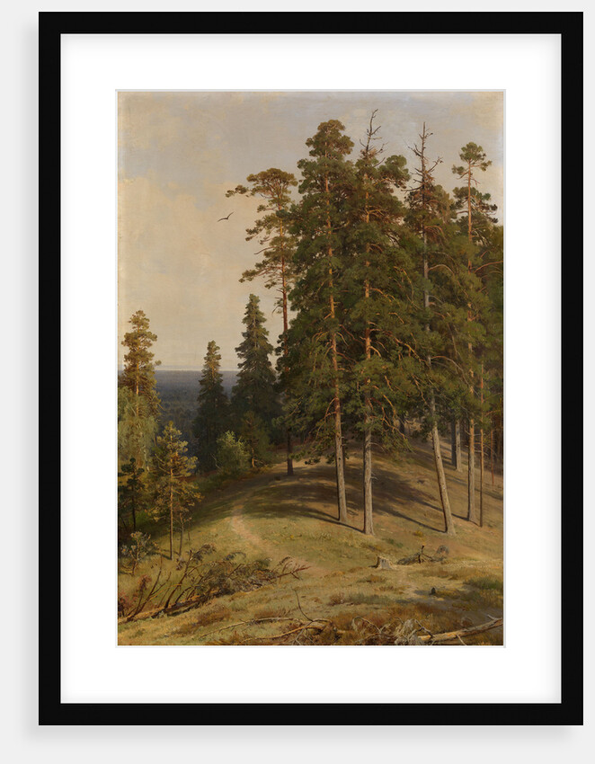 The Pine Forest, 1895 by Ivan Ivanovich Shishkin