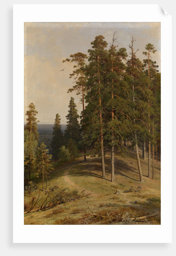 The Pine Forest, 1895 by Ivan Ivanovich Shishkin