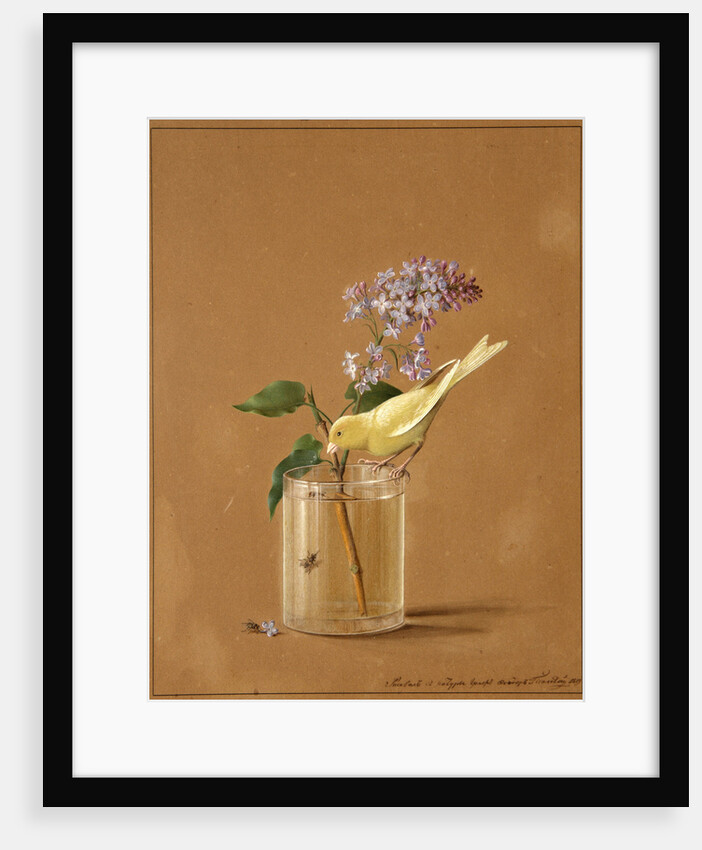 Canary Bird on a Lilac Branchlet, 1819 by Fyodor Petrovich Tolstoy