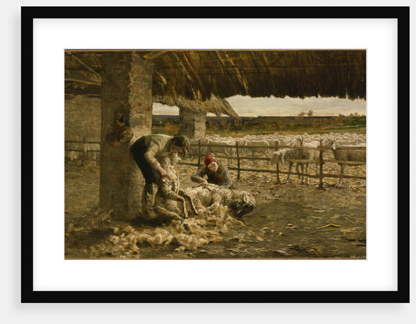 The Sheepshearing, 1883-1884 by Giovanni Segantini