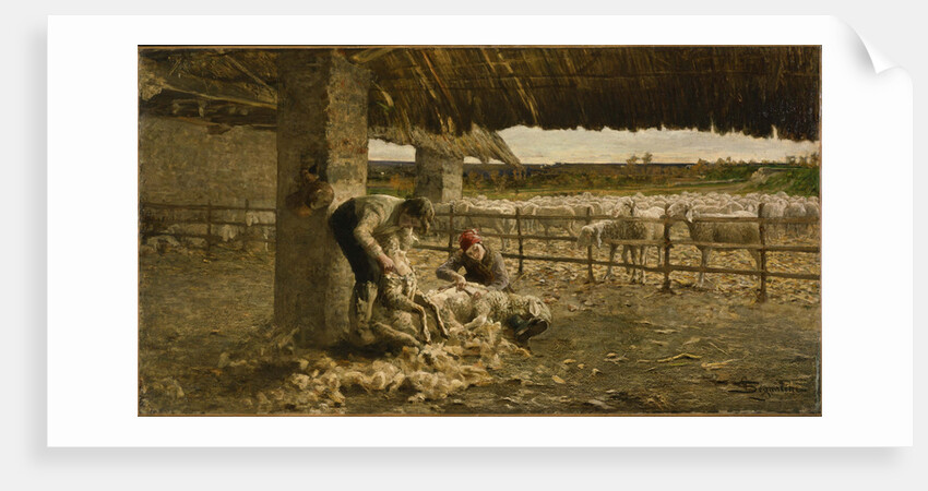 The Sheepshearing, 1883-1884 by Giovanni Segantini