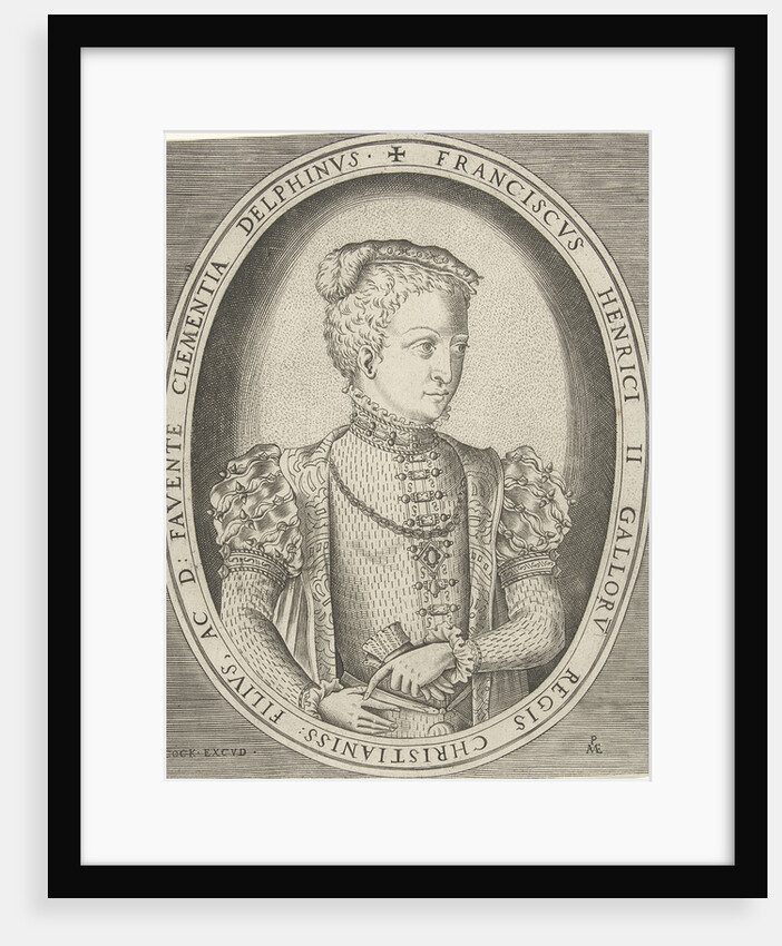 Portrait of Francis II of France by Pieter Heyden van der
