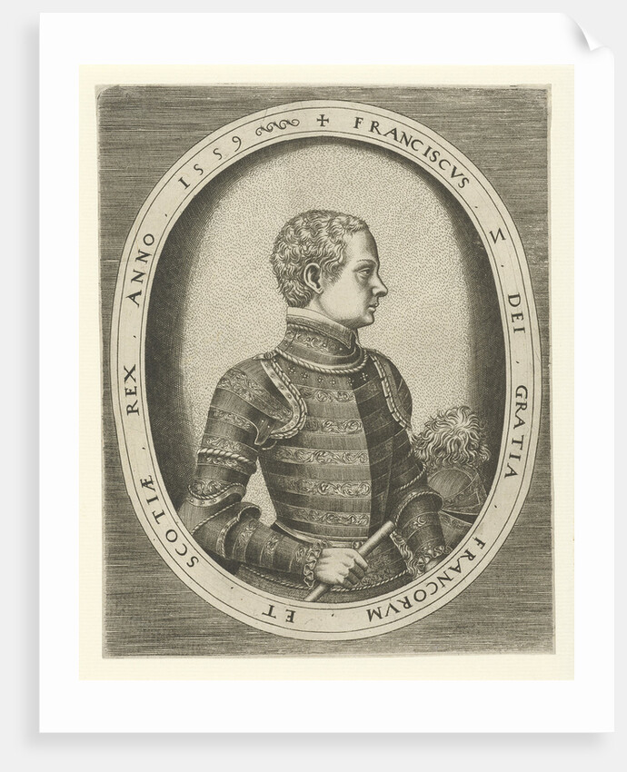 Portrait of Francis II of France, 1559 by Frans Huys