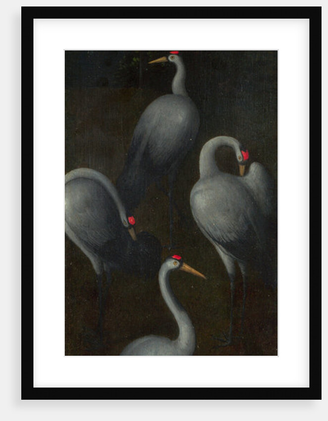 Cranes with the coat of arms of the Pagagnotti family (The reverse of a Panel from a Triptych), c. 1480 by Hans Memling