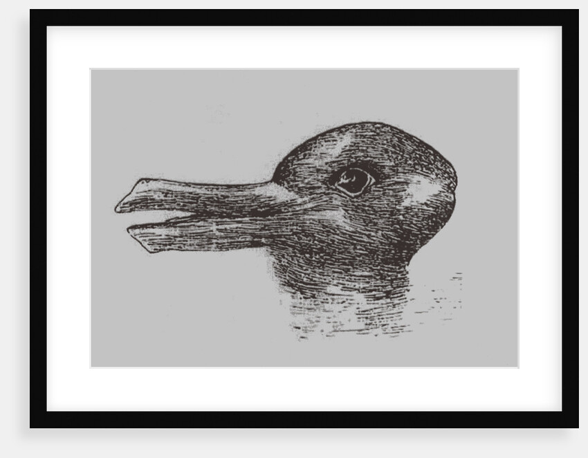 Duck-Rabbit illusion. From: Jastrow, J. The minds eye. Popular Science Monthly, 1899 by Joseph Jastrow