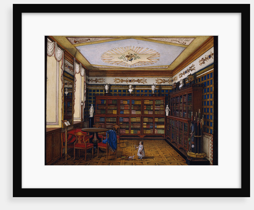The Library of Count Henryk Ilinsky in Romaniv, 1824 by Anonymous