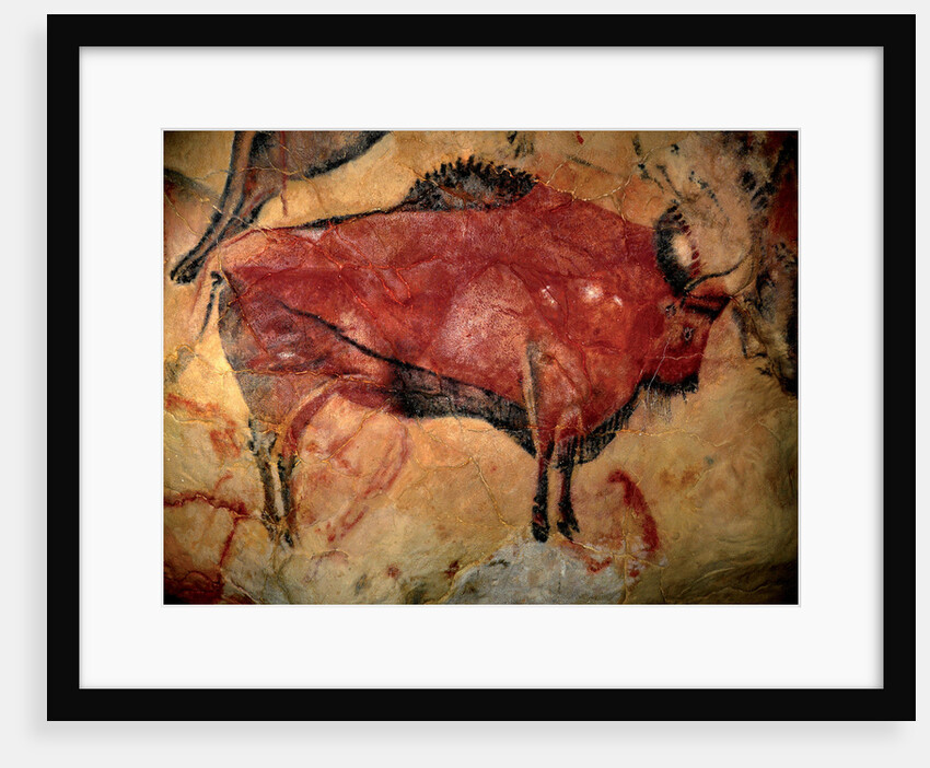 Painting in the cave of Altamira, 35,000 to 11,000 BC by Art of the Upper Paleolithic