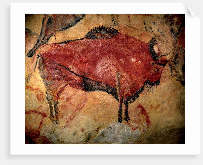 Painting in the cave of Altamira, 35,000 to 11,000 BC by Art of the Upper Paleolithic