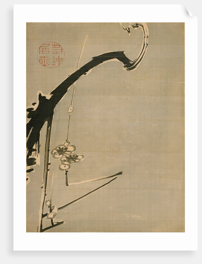 Plum Blossoms, 18th century by Ito Jakuchu