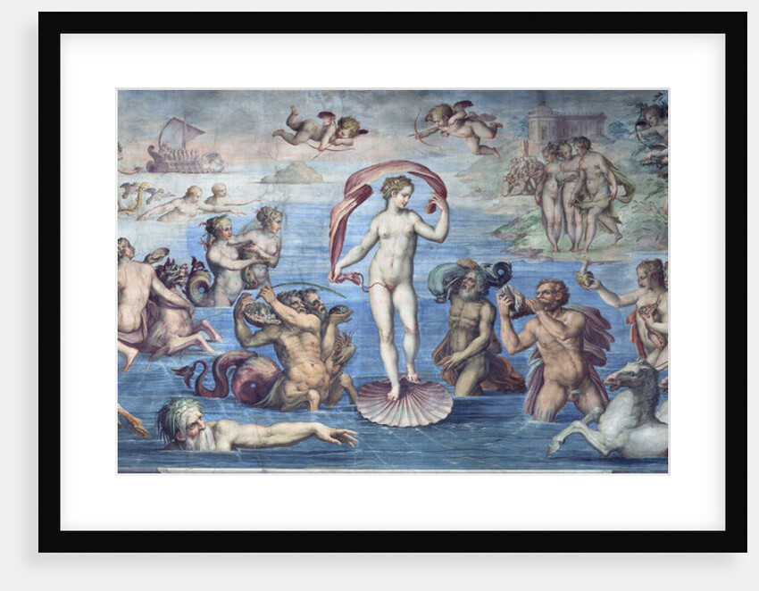 The Birth of Venus, 1556-1557 by Giorgio Vasari