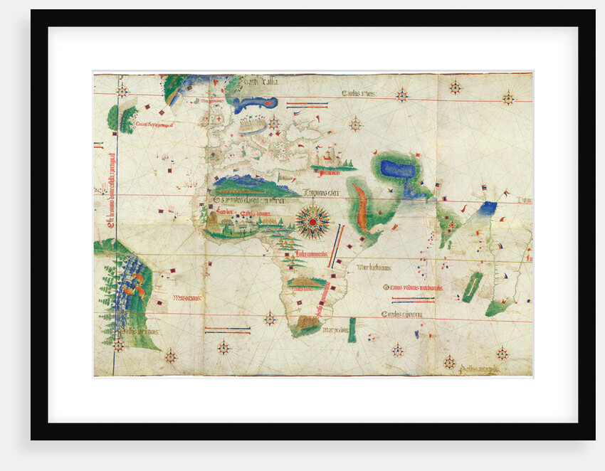 The Cantino planisphere, 1502 by Anonymous master