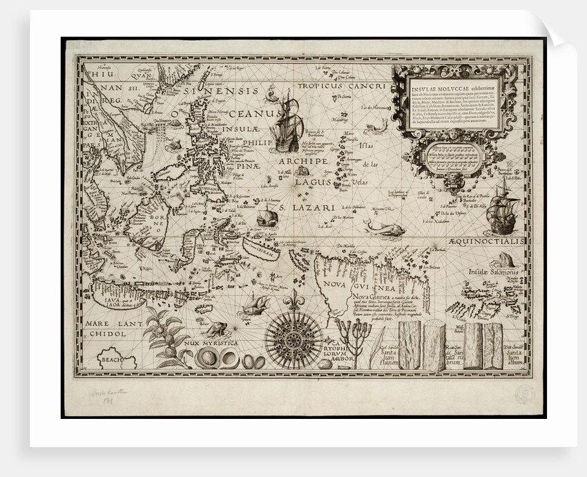 Insulae Moluccae celeberrimae sunt ob maximam aromatum copiam quam per totum terrarum orbem mittunt? by Petrus Plancius