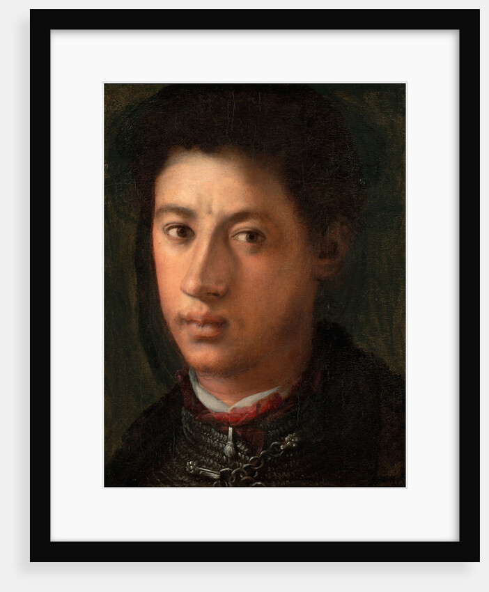 Portrait of Alessandro de Medici, 1534-1535 by Pontormo